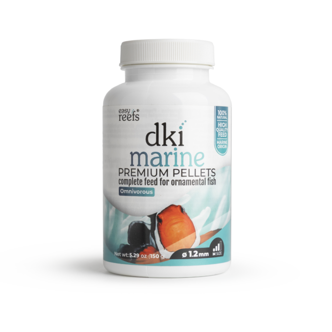 DKI Marine