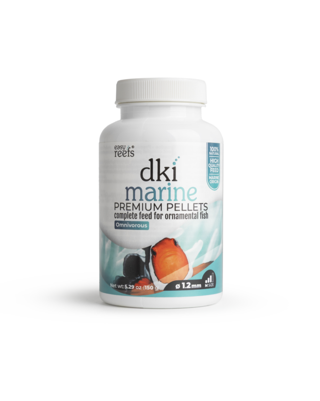 DKI Marine