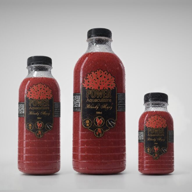 Bloody Mary Fito Mix — pack completo