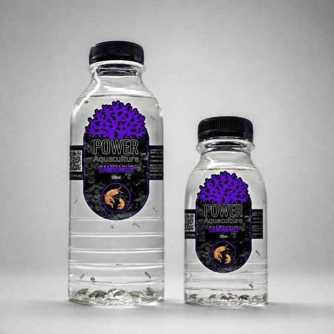 Gammarus Reef Safe — pack completo