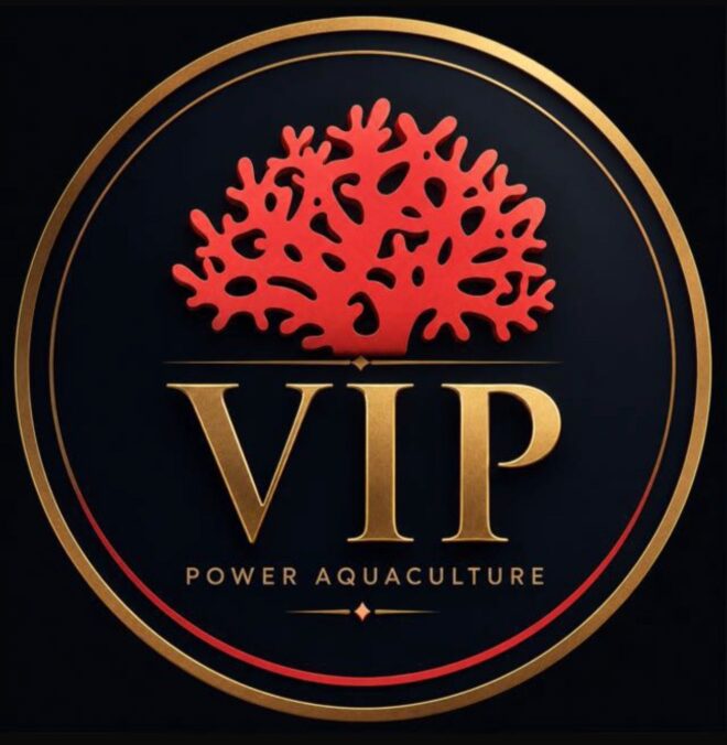 Power VIP - Membresía mensual