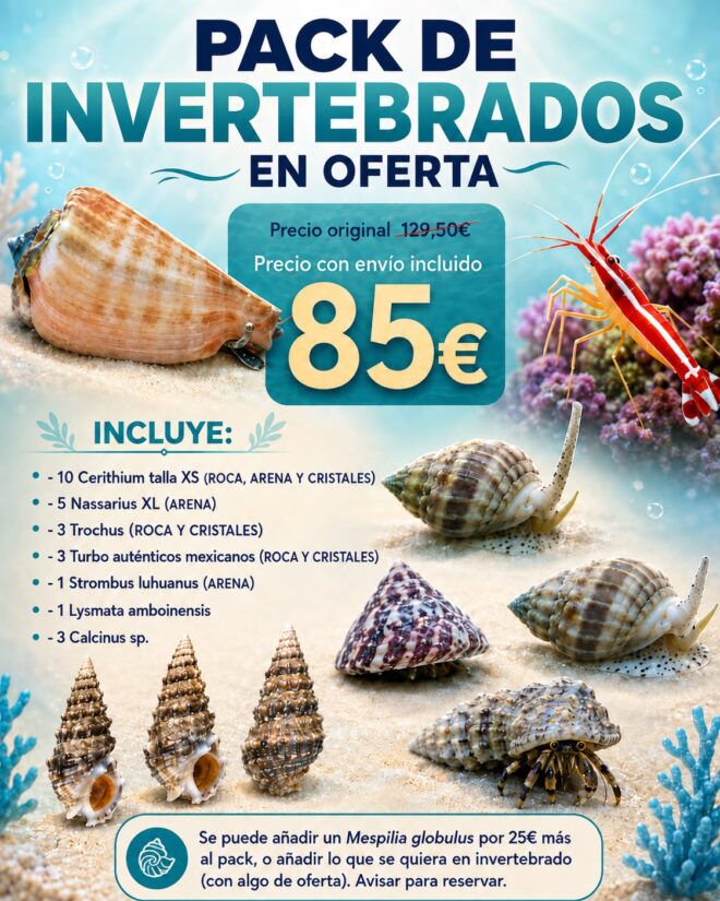 Pack de invertebrados en oferta