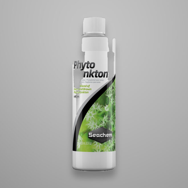 Reef Phytoplankton