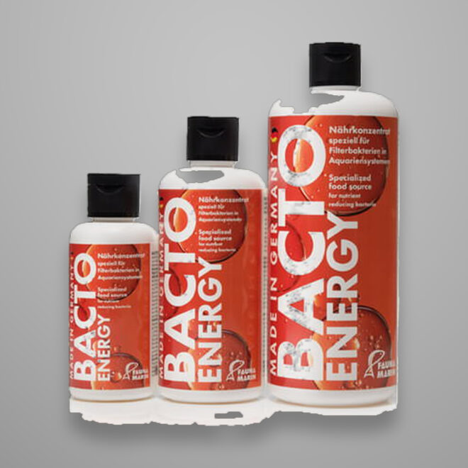 BACTO Energy