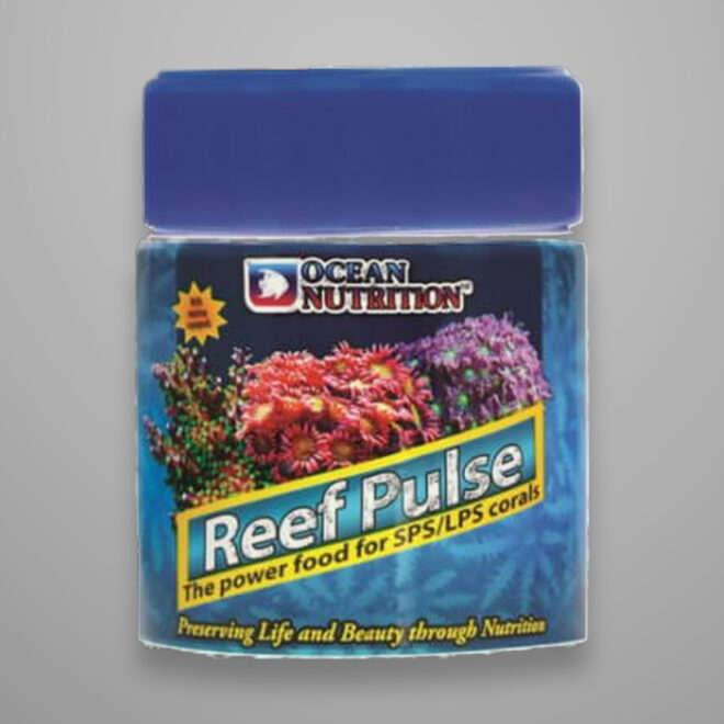 Reef Pulse