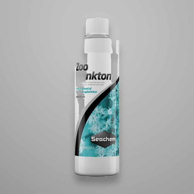 Reef Zooplankton