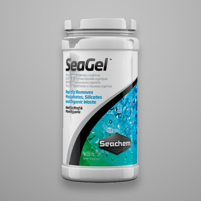 Seagel