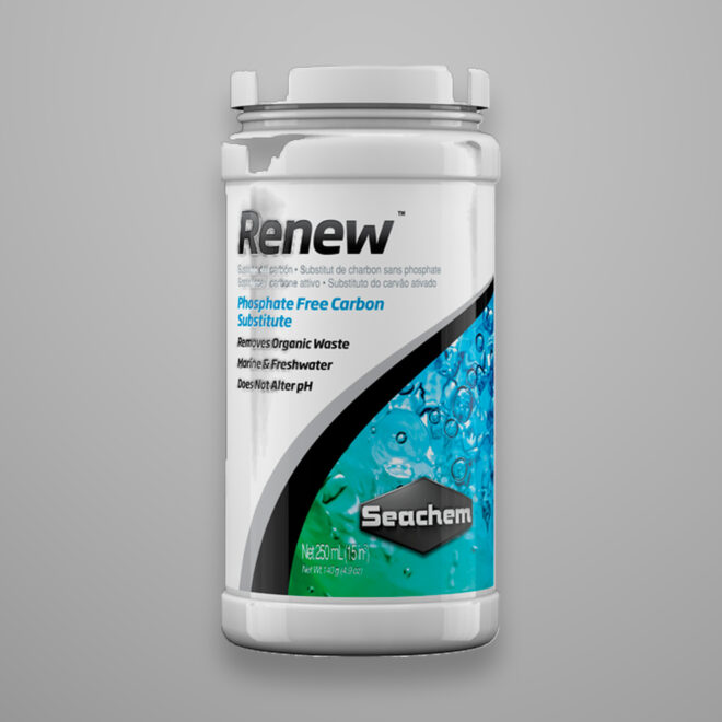 Renew