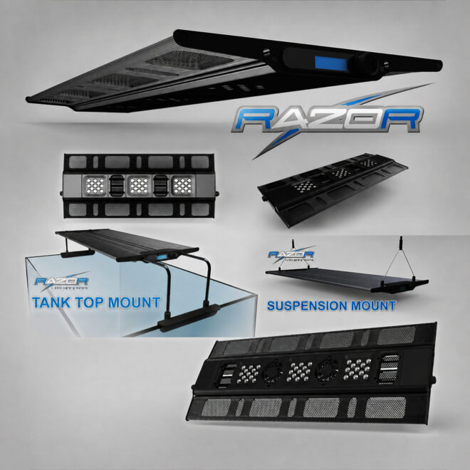MAXSPECT, HANGING KIT PARA JUMP L-165, RSX, R420R Y ETHEREAL