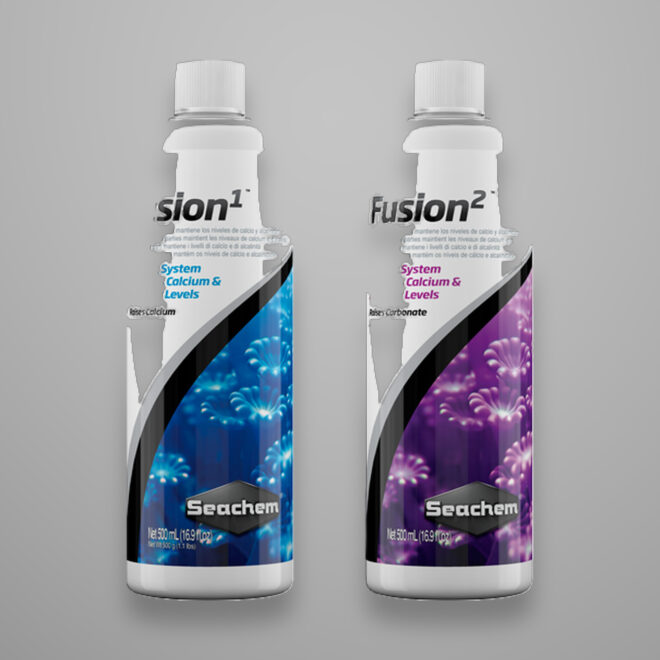 Reef Fusion 2