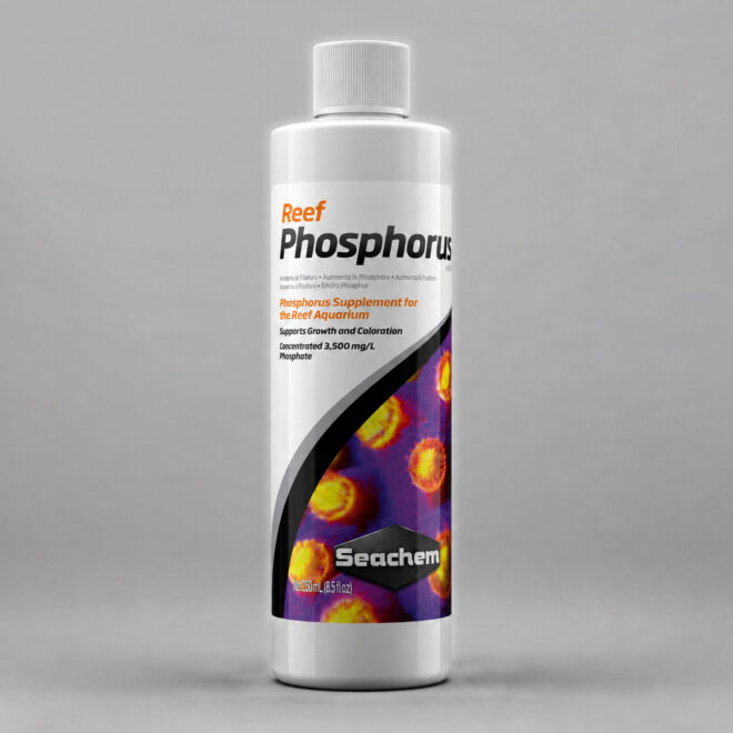 Reef Phosphorus