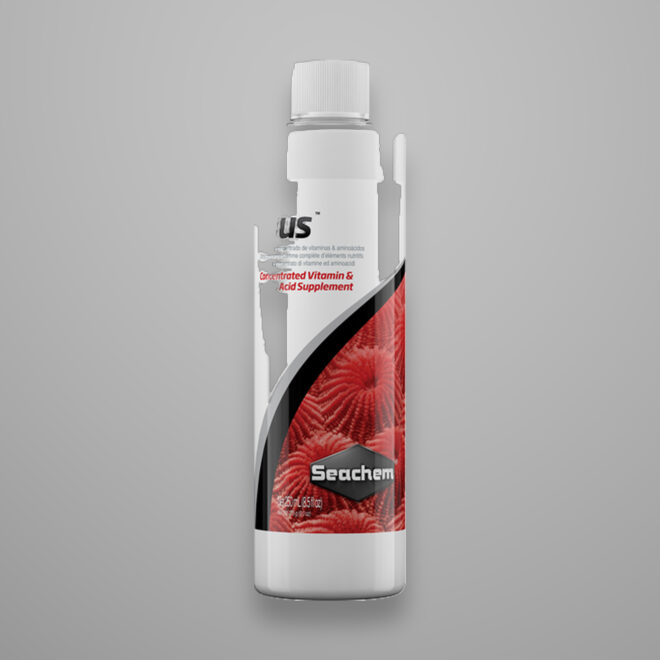 Reef Plus