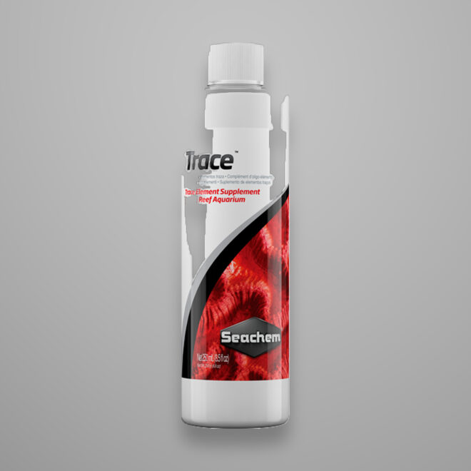 Reef Trace